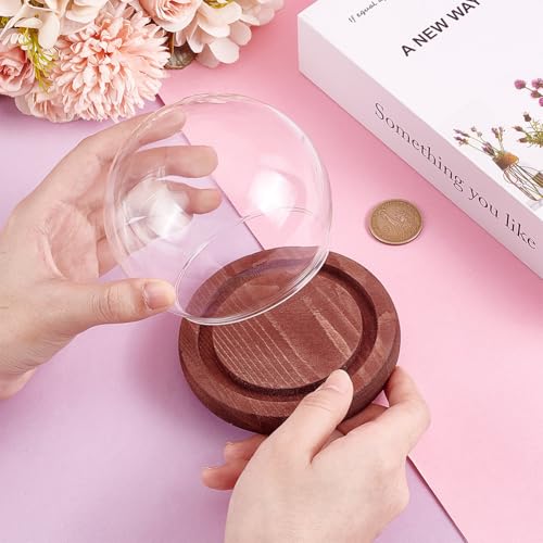 PH PandaHall 2pcs Glass Display Dome Cloche Round Dome Cover with Wooden Base Clear Glass Globe Bell Jar Display Case for Christmas Snow Globe Home Flower Plants Crafts Decor 3.8x3.2 Inch