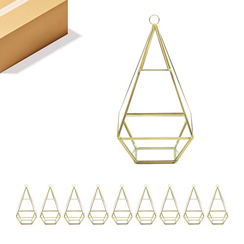 WGV Hanging Geometric Planter Terrarium Bulk Width 5" Height 9.5" Clear Glass Gold Frame DIY Succulent air Plant Miniature Fairy Garden Windowsill Decor Raised Tall Pyramid 9 Pieces - color: Gold (1 Case), size: Narrow Geo-Pylon
