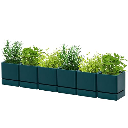 D'vine Dev 6-Pack Plastic Herb Planter Pots, 4 in, Green, 76-Y-C-1 - color: Green, size: 24 Inch x 4.5 Inch