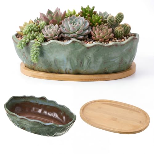 Succulent Pot 11 Inch Large Succulent Planters with Drainage Ceramic Bonsai Pot with Bamboo Tray Round Shallow Planter for Indoor Cactus Flower Planter Window Box for Home Garden Decor (Green) - color: Green, style: Round