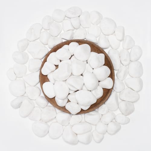 White Natural River Rocks, 1-1.5 Inch Decorative Stones for Plants, Garden, and Landscaping – 20LB, Ideal for Fish Tanks, Vases, Crafting, Home Decor, and Outdoor Landscaping - color: 1-1.5 inch, size: 20lbs