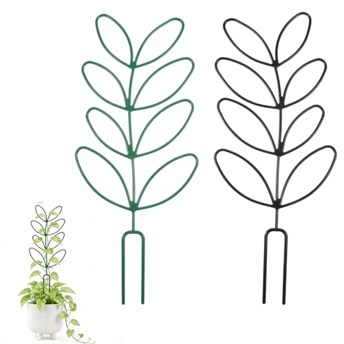 Qianyu 2 Pcs Wire Garden Potted Plants Trellis, Indoor Plant Trellis
