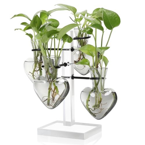 Plants Propagation Stations Plant Terrarium Kit Gift for Women - color: Gray