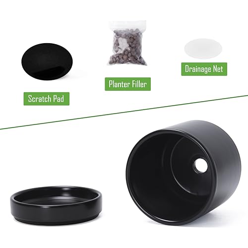 D'vine Dev 4-Pack Ceramic Pots with Saucers, Black, 4.7 in, 94-X-B-2 - color: Black, size: 4.7 Inch