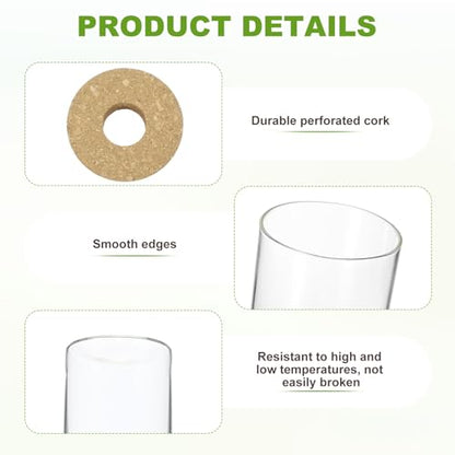M METERXITY 1 Pack Glass Planter Terrarium with Wooden Cover, Desktop Plant Propagation Station Clear Vase for Hydroponic Plants Propagation/Home Garden Decor/Plant Lover [2.56'' x 3.94''] - size: 2.56'' x 3.94''