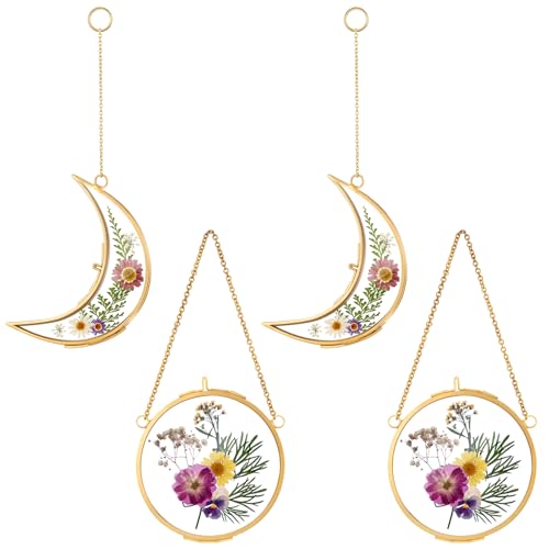 Qunclay 4 Pcs Pressed Flower Frames Bulk Double Glass Floating Hanging Photo Frame Sun Moon Clear Pressed Flower Decor with Chain for DIY Crafts Artwork Display Gallery(Gold,4 x 6 Inch) - color: Gold, size: 4 x 6 Inch