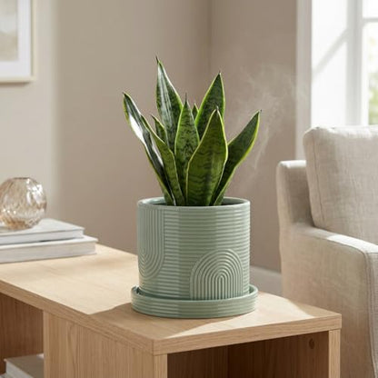 6 Inch Ceramic Plant Pot with Drainage Hole & Tray – Sage Green | Complete Planting Kit: Drainage Hole, Matching Tray & Bonus Tools - color: Sage Green