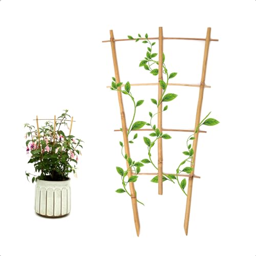 COLOtime 3Pack Bamboo Trellis 16 Inch Fan Shaped Small Plant Trellis for Indoor Potted Plants Climbing Monstera Orchid Vine Hoya Houseplant - size: Fan shaped, 3 Pack