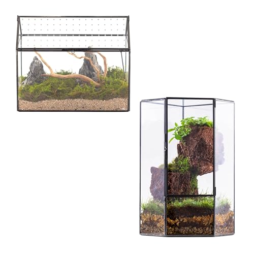 NCYP Glass Terrarium - Glass House Shape Terrarium Planter with Acrylic Lid, and Geometric Tall Closed Glass Terrarium Planter, for Small Succulent Cacti, Ferns, Garden