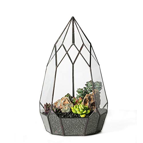 NCYP No Door Glass Geometric Terrarium Planter for Succulent Plants, Fern, Balcony Display Pot - Black Miniature Botanical Garden, Large (Terrarium Only) 12.2" Height, 7.1" Width