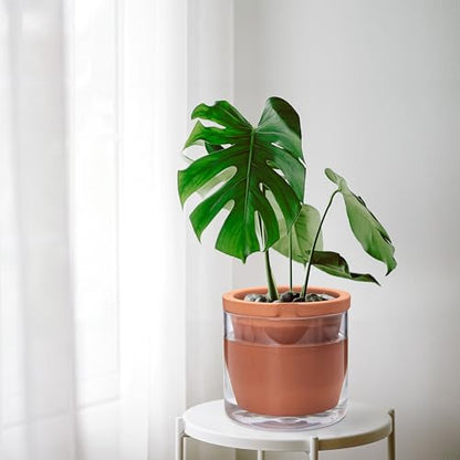 D'vine Dev Self Watering Terracotta Planter Pot, 8 in, 37-X-C-1 | Terracotta & Glass Design, Clear Water Reservoir, Visible Water Level, Easy Plant Care, Ideal for Busy Plant Lovers - color: Terracotta, size: 8 Inch