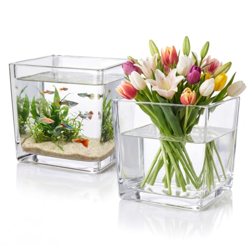 2 Pack Square Glass Vase 6" x 6" x 6", Floating Candle Holder - size: 6"-2Pack