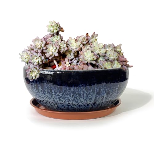 9 Inch Glazed Terracotta Plant Pot Round Ceramic Succulent Planter Pot with Drainage and Mesh Pad Cactus Clay Bonsai Pot (Blue) - color: Blue, size: 9 Inch