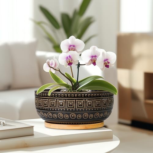 G EPGardening 8 Inch Ceramic Succulent Planter Pots for Indoor Plants Round Shallow Bonsai Planter Pot with Drainage and Bamboo Saucer, Black - color: Black