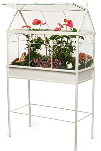 H Potter Freestanding Wardian Case Terrarium, Large - size: Large