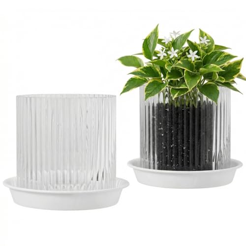 Clear Glass Plant Pots Indoor, 5 inch Clear Orchid Pots with Drainage Holes & Trays, Small Glass Planter for Indoor Plants, Herbs, Succulent Flower Planter with Ribbed Texture, Set of 2