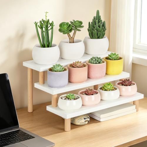 Windowsill Plant Shelf 3 Tiers White Desktop Plant Stand Tabletop - size: 3 Tiers