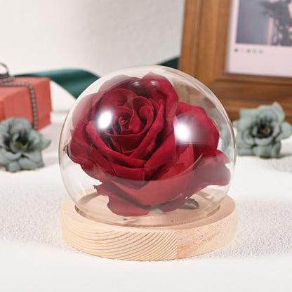 M METERXITY Cloche Glass Dome, D3.9In Ball Jar with Wooden Base for DIY Snow Globes/Small Plants/Flowers/Candles/Models/Souvenirs, Glass Display Case [Wood] - color: Wood, size: D3.9In