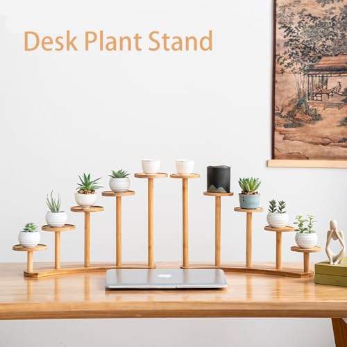 5 Tiers Desk Plant Stand Window Sill Plant Shelf Tabletop Succulent Stand Flower Pot Stand Holder Desktop Plant Stand Indoor Plant Rack for Succulent Herb in Living Room Office (Circle) - size: Circle