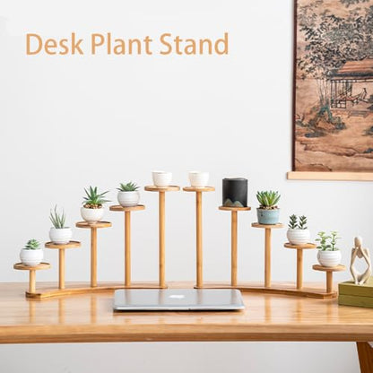 5 Tiers Desk Plant Stand Window Sill Plant Shelf Tabletop Succulent Stand Flower Pot Stand Holder Desktop Plant Stand Indoor Plant Rack for Succulent Herb in Living Room Office (Circle) - size: Circle