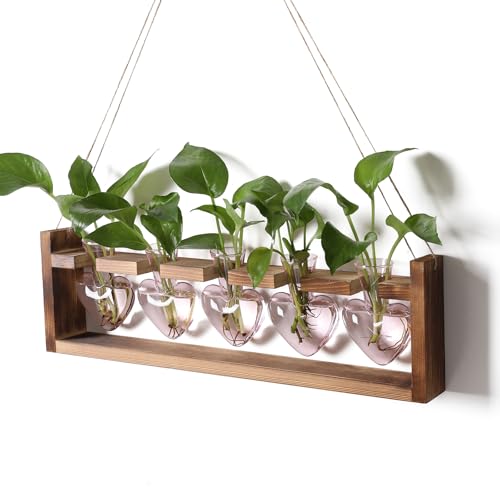 Plant Terrarium Hanging Propagation Stations Gift for Women - color: Pink