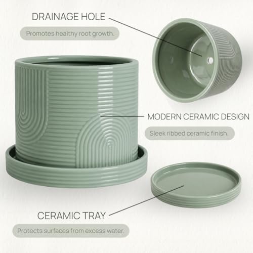 6 Inch Ceramic Plant Pot with Drainage Hole & Tray – Sage Green | Complete Planting Kit: Drainage Hole, Matching Tray & Bonus Tools - color: Sage Green
