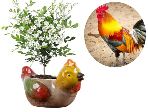 Animal Shaped Planter Flower Pot Chicken Shape Small Succulent pots with Drainage Ceramic Animal Planter, Indoor Plant Container Planter with Drainage Hole Home Office Desk Garden (Chicken) - color: Chicken