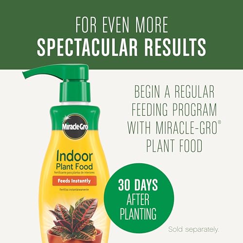 Miracle-Gro Houseplant Potting Mix, 4 qt. - size: 1 Pack, style: Houseplant