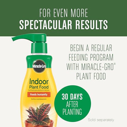 Miracle-Gro Houseplant Potting Mix, 4 qt. - size: 1 Pack, style: Houseplant