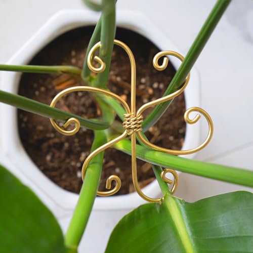 YOHSNOR 5PCS Monstera Plant Support System 4.1IN,Metal Gold Stem Holder - color: Gold, size: 4.1IN*4.1IN