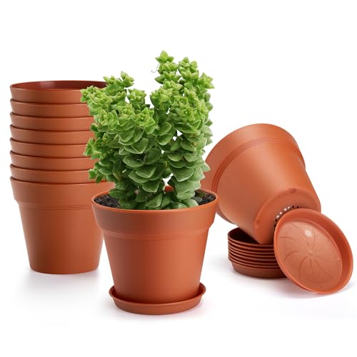 10 Pack 6 inch Plastic Plant Pots with Drainage Holes and Tray | Thickened Indoor Planters Seedlings Nursery Pots for Flowers, African Violet, Succulent and All House Plants, Terracotta - color: Terracotta, size: 10 Pack-6in