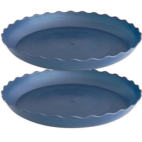 2 Pack of 10 inch Plant Saucer Plant Tray, Plastic Plant Saucer, Heavy Duty Plant Tray for Pots, Plant Saucers for Indoors Planter, Garden Water Plate Bowls for Gallon Grow Bags (Blue) - color: Blue, size: 10" (2 pack)