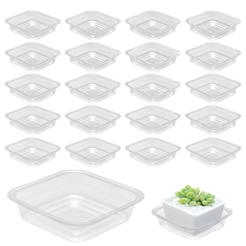 20 Pack Plant Saucers for Indoors 4 Inches Plant Trays for Pots Plastic Trays for Plants Square Plant Drip Trays for Potted Plants Flower Pot Saucers Clear Plant Plates to Catch Water, Bulk
