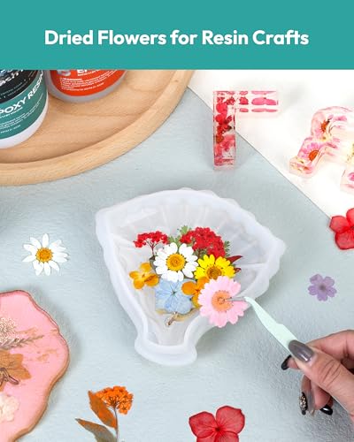 Dried Flowers, Resiners 100Pcs Pressed Flowers for Craft Real Natural Dried Flowers Dry Leaves Kit for DIY Making Crafts Resin Soap Candle Scrapbook Supplies Card Making Jewelry - color: Brilliant 100pcs