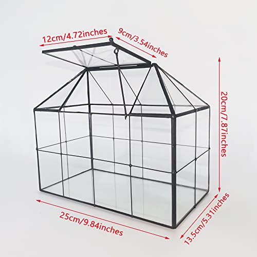NCYP Glass Terrarium - Glass House Shape Terrarium with Lid, and Geometric Open Glass Terrarium Planter, for Small Succulent Cacti, Garden Tabletop Decor (No Plants)