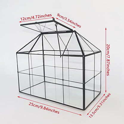 NCYP Glass Terrarium - Glass House Shape Terrarium with Lid, and Geometric Open Glass Terrarium Planter, for Small Succulent Cacti, Garden Tabletop Decor (No Plants)