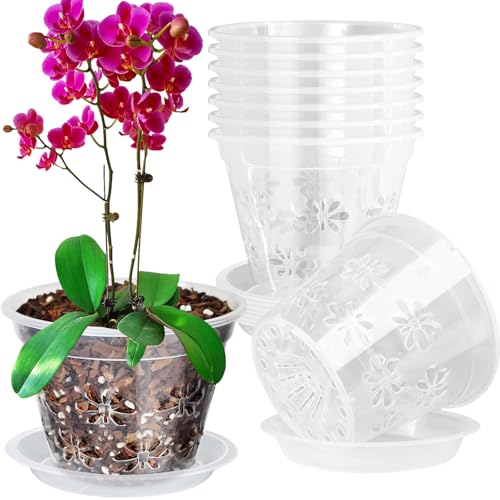 Orchid Pot, 8 Pack 6 inch Orchid Pots with Holes & Saucers, Clear Plastic Pot for Repotting, Breathable Ventilation Planters for Phalaenopsis, Dendrobium & Oncidium Orchids - color: Clear, size: 6'' 8pack