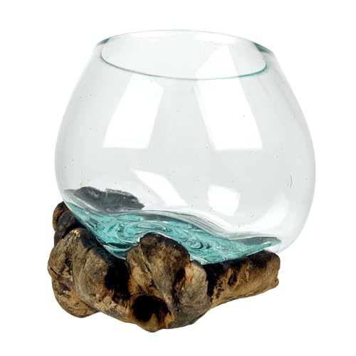 Decorative Vase, 5 Inch Melted Glass on Gamal Root Wood | Clear Bowl Shaped Over Organic Base, Each Piece Varies, For Succulents, Air Plants, Terrariums