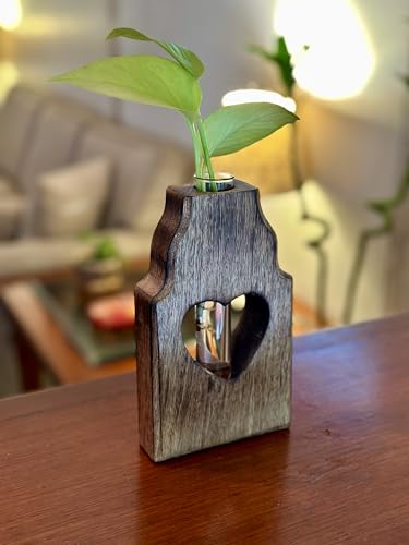 Wooden Plant Propagation Station Stand with Single Glass Test Tube Indoor Desktop Terrarium for Hydroponics Water Plant Cutting Flower Vase Planter Home Office Garden Decor Plant Lover Gifts, Brown