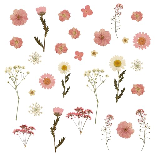 Dried Pressed Flowers for Crafts, Real Dried Flowers Natural Dry Flowers Bulk for Resin Candle Making Scrapbooking DIY Nails Jewelry Pendant Soap (Pink)