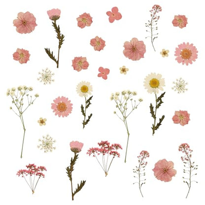 Dried Pressed Flowers for Crafts, Real Dried Flowers Natural Dry Flowers Bulk for Resin Candle Making Scrapbooking DIY Nails Jewelry Pendant Soap (Pink)