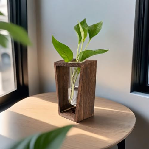 Glass Test Tube Vase, Hydroponic Propagation Station, Creative Hydroponic Decor/Flower Arrangement, Suitable for Propagating Pothos, African Violets, and Willow Twigs.