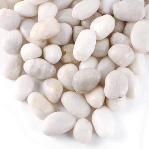 11LB River Pebbles Polished Gravel for Plants Natural White Plant Stones River Rocks 3/4-1 5/8 Inch River Stones for Landscaping Small Pebbles for Crafts - size: 11lb, style: White