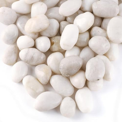 11LB River Pebbles Polished Gravel for Plants Natural White Plant Stones River Rocks 3/4-1 5/8 Inch River Stones for Landscaping Small Pebbles for Crafts - size: 11lb, style: White