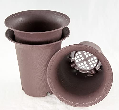 3 Round Cascade Plastic Bonsai Training Pot, Cactus & Succulent, Orchid Planter 4.25"x 4.25"x 4.5" - Tan