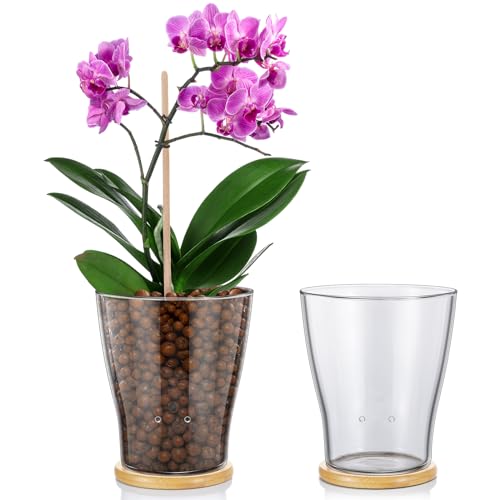 Baderke Glass Orchid Pots with Holes and Bamboo Tray Glass Pot Water Level Control Semi Hydroponic Transparent Root Transparent Indoor Orchid Planter for Home Indoor Outdoor Plant Lovers (5.12 Inch) - size: 5.12 Inch