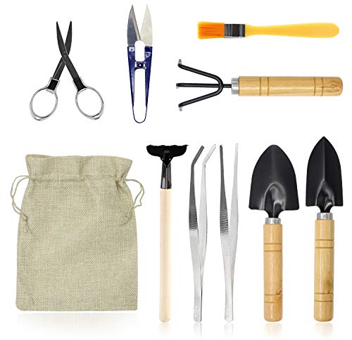 Bonsai Set 10 PCS-Mini Gardening Tools Kit for Indoor Outdoor Bonzai Include Pruner, Fold Scissors, Mini Rake, Tweezers, Cleaning Brush | Perfect for Garden Enthusiasts Compact and Easy to Use and Store - color: 10 Pcs