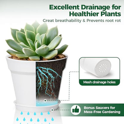 T4U Plant Pots Indoor 6 Inch 8 Pack, Plastic Flower Pots with Saucer White | Peace lily spider ivy, Kitchen windowsill shelf, Houseplant herbs basil, Durable lightweight - color: White, size: 6 inch