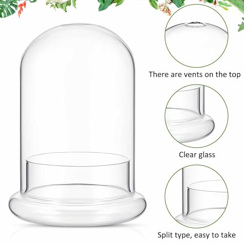2 Pcs 4.7 x 6.3 Inch Glass Terrarium Dome Cloche with Air Hole & Glass Base, Clear Terrarium Containers Ventilated Plant Humidity Dome for Carnivorous Plants Orchids Tropical Cuttings, No Leakage - size: 4.7 x 6.3 Inch