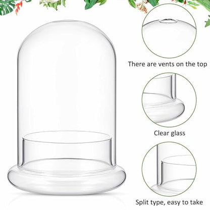 2 Pcs 4.7 x 6.3 Inch Glass Terrarium Dome Cloche with Air Hole & Glass Base, Clear Terrarium Containers Ventilated Plant Humidity Dome for Carnivorous Plants Orchids Tropical Cuttings, No Leakage - size: 4.7 x 6.3 Inch